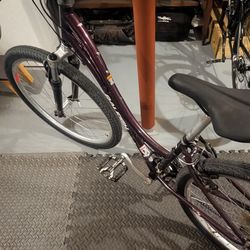 Raleigh Ventura women's small bike.