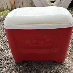 Igloo Cooler