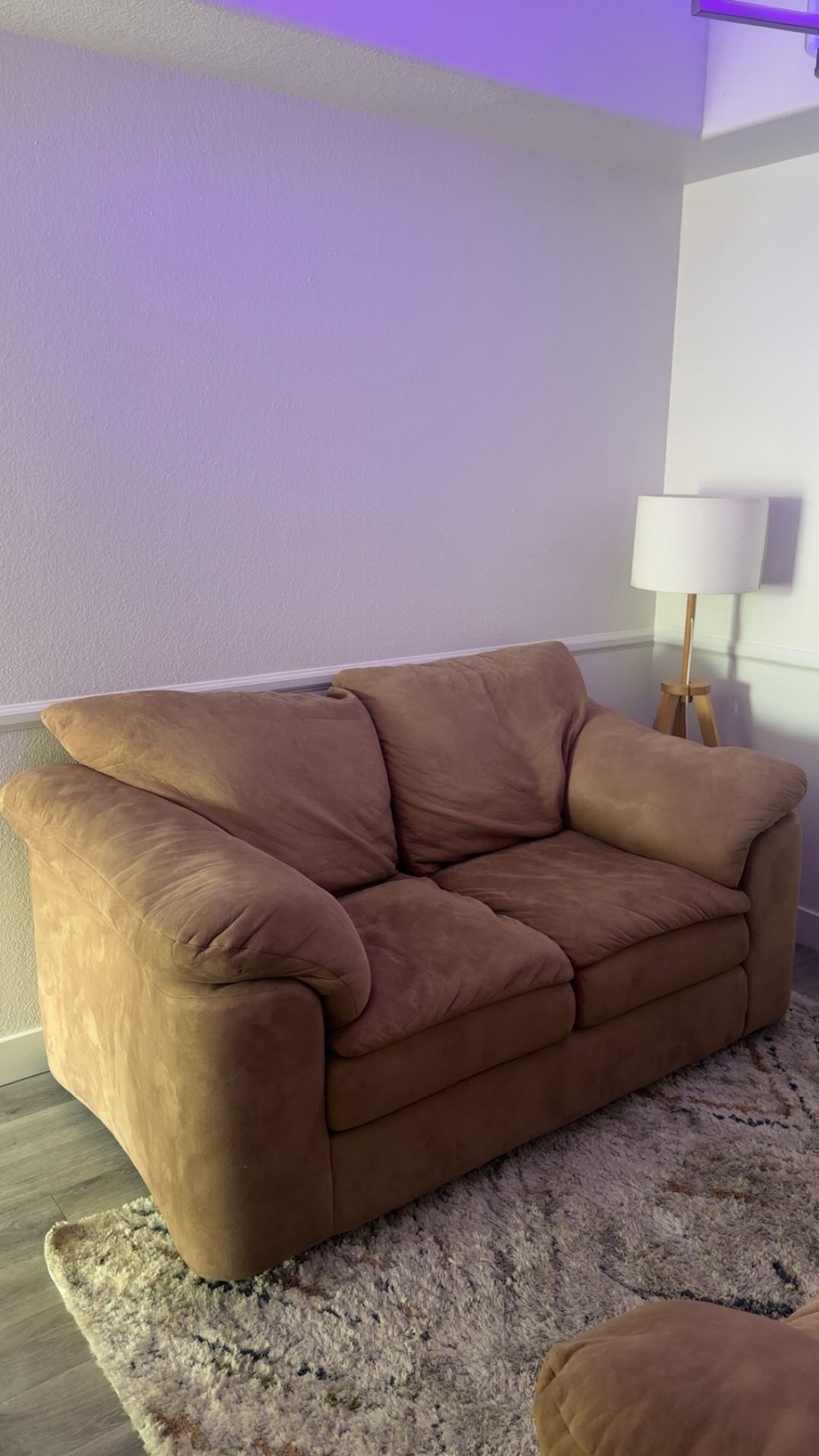 Love Seat Couch
