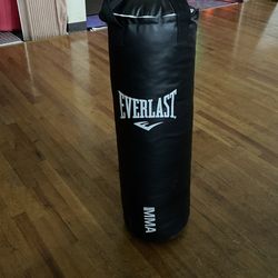 Everlast MMA 