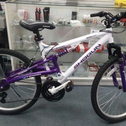 Terra SHOGUN mountain bike