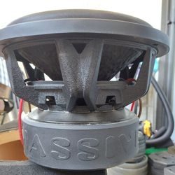 Massive 12 In SUBWOOFER  (Hippo Version)