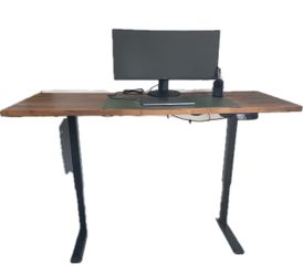 Electric Standing Desk with Heavy Real Wood Top