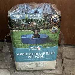 Dog Pool