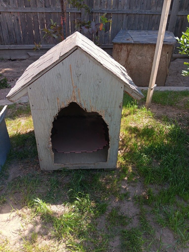 Dog House