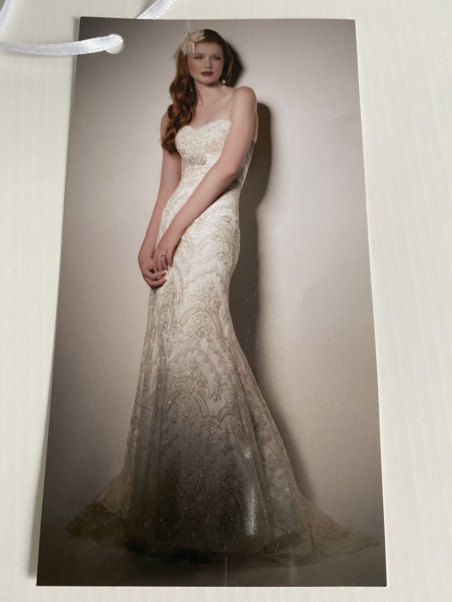 Wedding Dress, Cocktail Dress, Veil, Shoes All $500