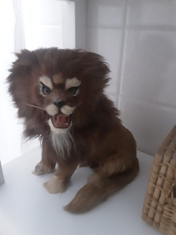 Real Fur Lion Statue 7.5" Tall See Pics For Condition 