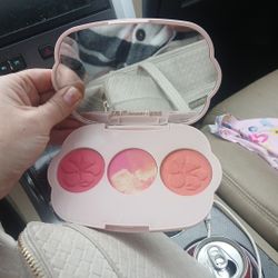 Make Up Blush Pallet 