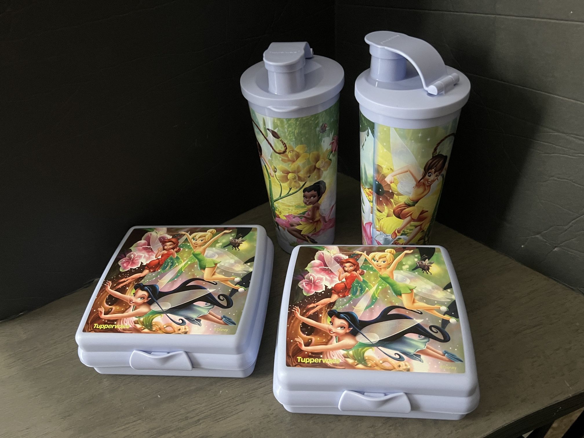 Tinkerbell Lunch sets