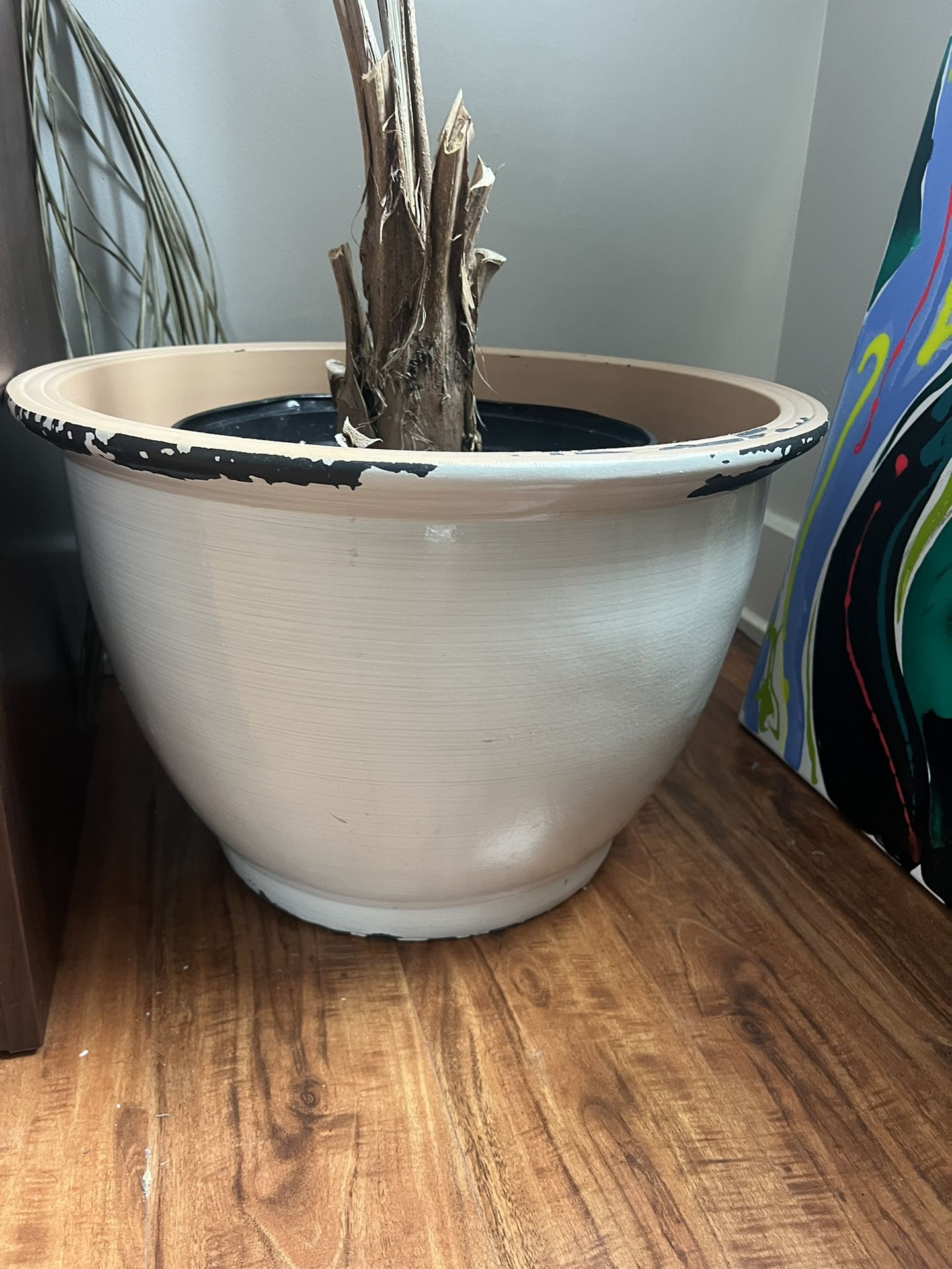 Beautiful Pot 