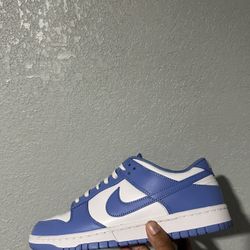 Polar Blue Dunk 