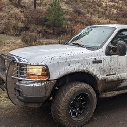 F350 Brush Guard/Grill Guard