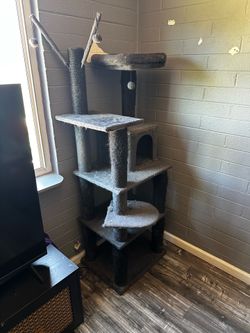 Cat tree FREE
