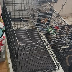 Dog Cage By Precision In (Good) Condition 