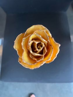 Gold Dipped Rose - Yellow
