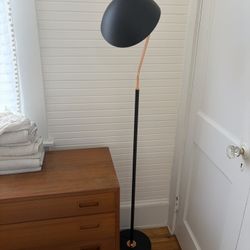 Black And Rose Gold Mid Century Floor Lamp