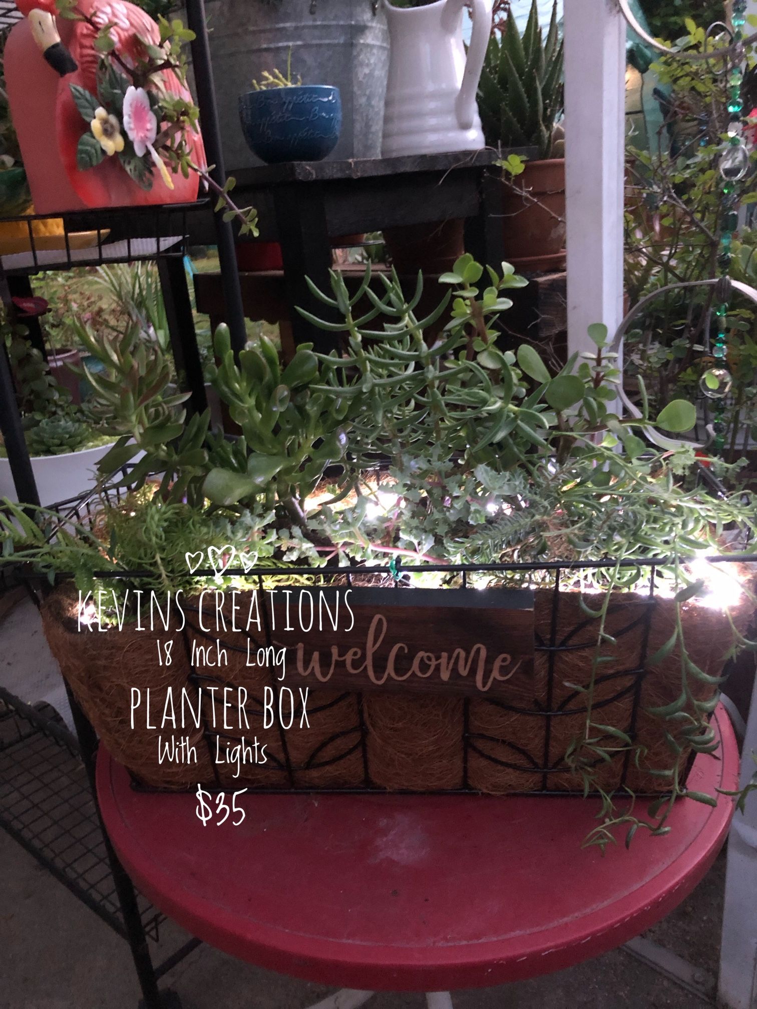 Kevin’s Creations Newest Collection Of Beautiful Succulent Arrangements As Low As $10 Zelle Cash App And Cash Land Park Area 