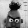 Bert
