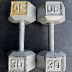 30LB Dumbbells 