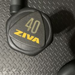 Ziva dumbbell 