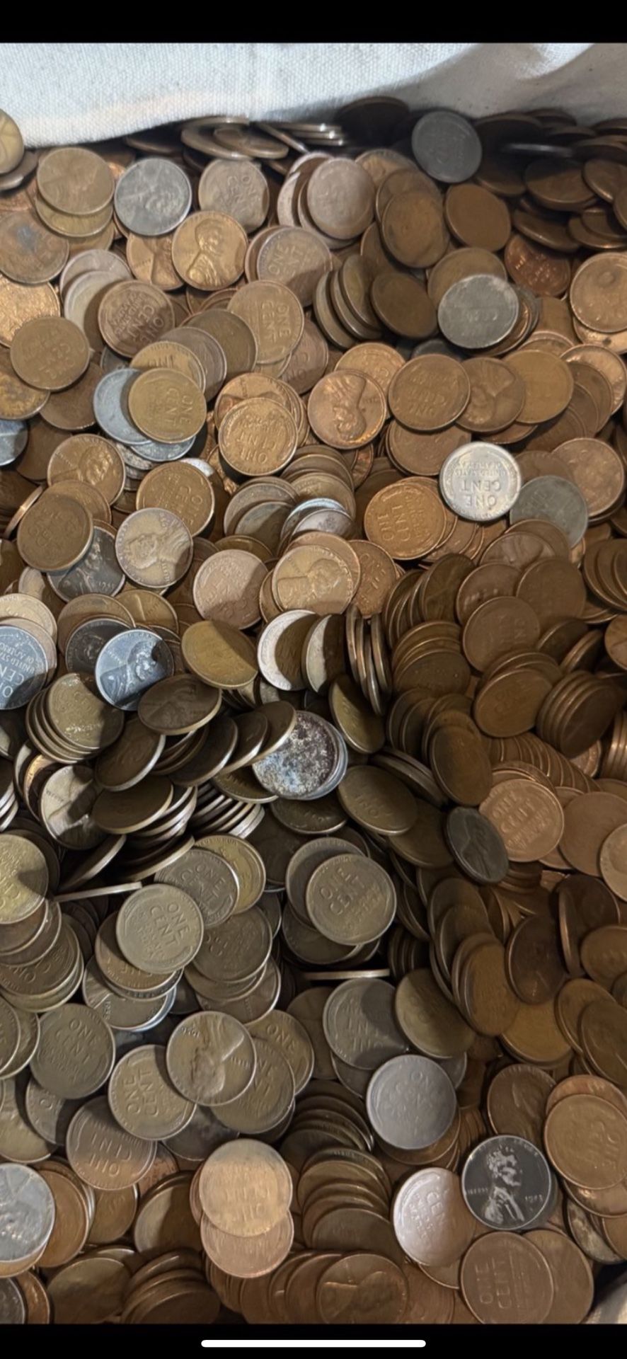 25$ 1 pound wheat pennies