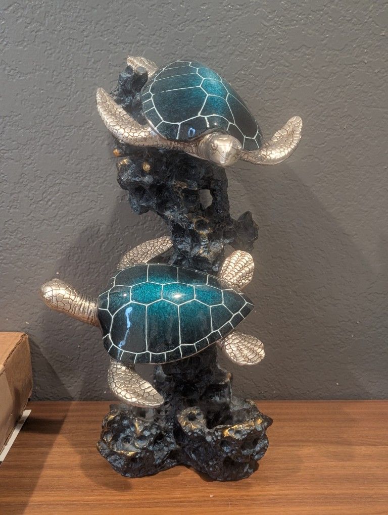 Turtle Display