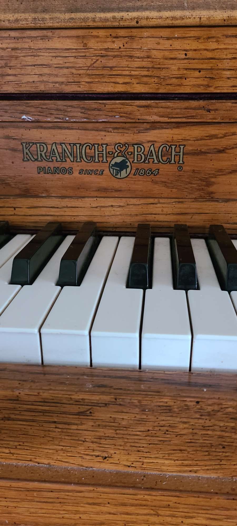 Kranich -&- Bach Piano