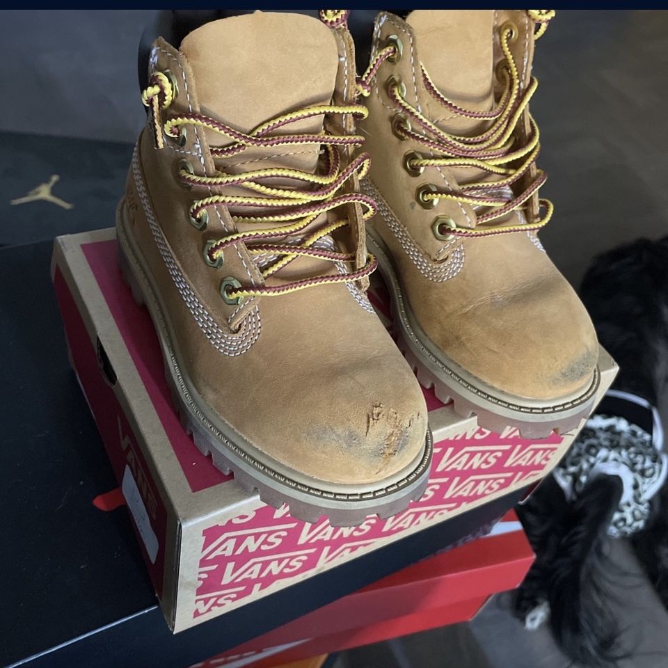 Timberland style cheap vans