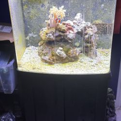 32 Gal Biocube Aquarium 