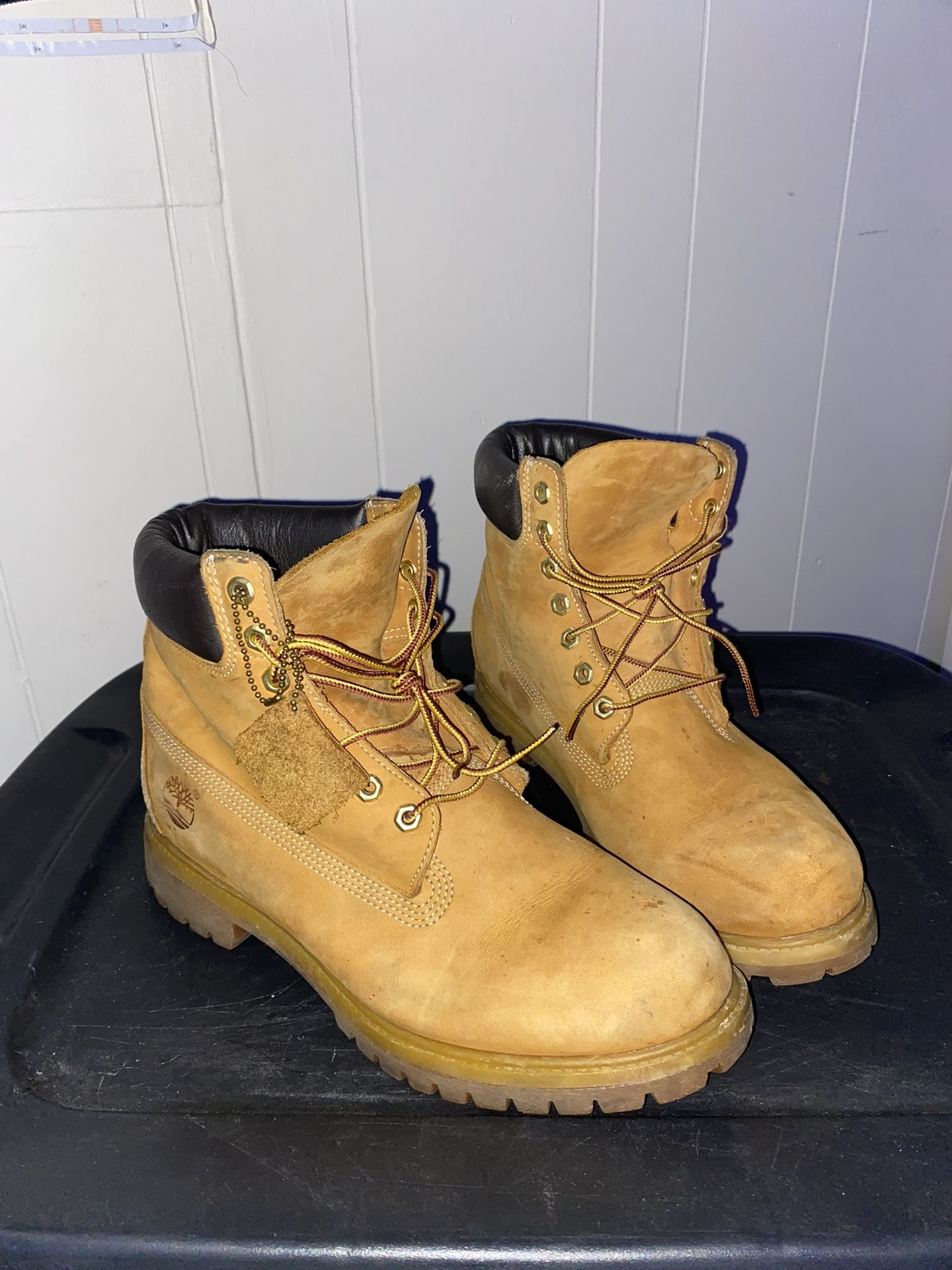 Timberland 10.5 Men