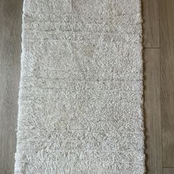 38”24” Rug