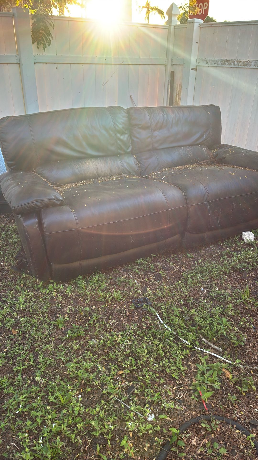 Free Couch