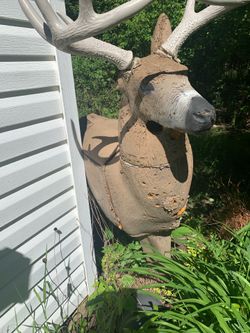 Glendel Buck Target