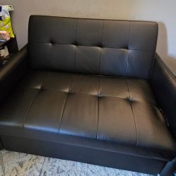 Merax 51.5 " Modern Convertible Pull-Out Loveseat 