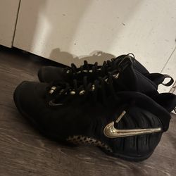 Nike Foamposite Black Metallic 6.5 Youth