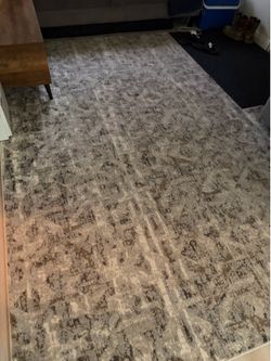 2 area rugs (1 month old) 7x10