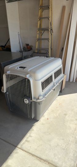 XL dog kennel