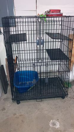 Bird Cage