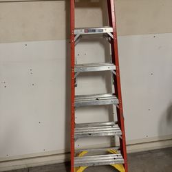 Werner 6’ Ladder 