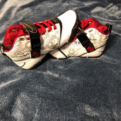 Nike Zoom “Mr. Basketball” Lebron 5’s Size 11