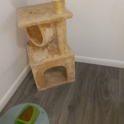 Cat Condo & Scratching Post