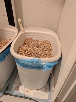 Sifting cat litter