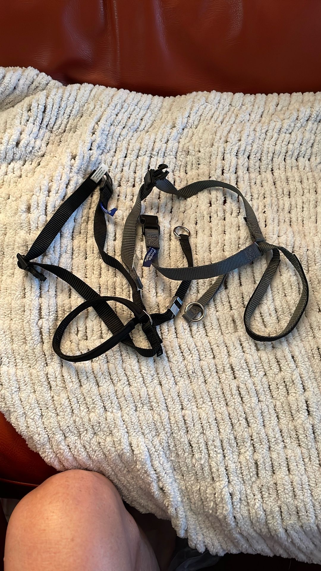 Gentle Lead Large Dog Collars two available