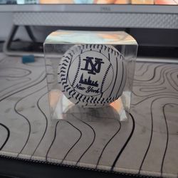 New York Yankees Baseball (Mint Condition)