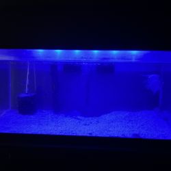 40 Gallon Fish Tank 