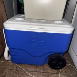 Coolers 