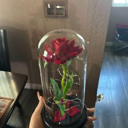Artificial Rose Flower In Glass Dome Eternal Flower Gift Box