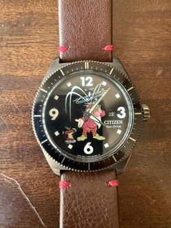 Citizen Disney Watch