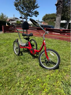 Amtryke Adult / Adolescent Tricycle