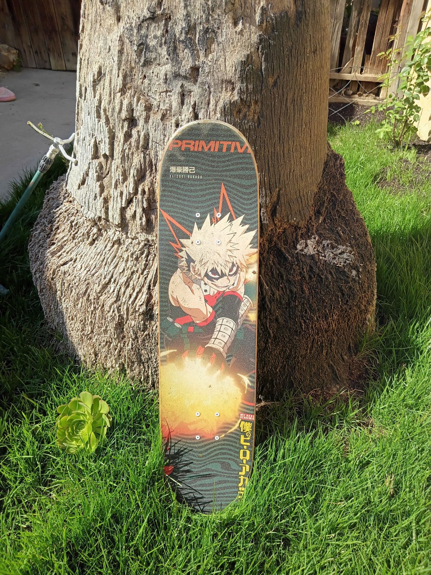 My hero academia Skateboard